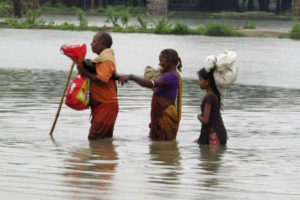 बाढीबाट प्रभावित क्षेत्रमा पशु चौपाया धमाधम मर्दै