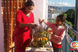 आज हरिबोधिनी एकादशी : तुलसीको दामोदरसँग विवाह गरी मनाइँदै