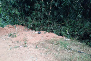 धादिङमा मतदान केन्द्र नजिकै राखिएको बम निष्क्रिय गरियो