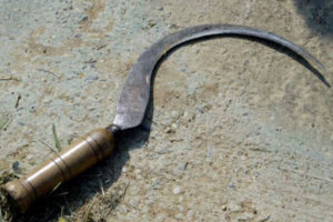 हँसिया प्रहार गरी श्रीमतीको हत्या