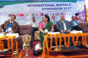 अन्तर्राष्ट्रिय भैँसी विज्ञ समगोष्ठीले निकाल्यो चार बुँदे निष्कर्ष