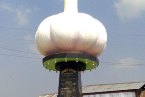 पूर्वी पहाडी जिल्लाका सहरमा पर्यटक आकर्षित गर्न लसुनदेखि बन्दागोभीसम्मका स्तम्भ