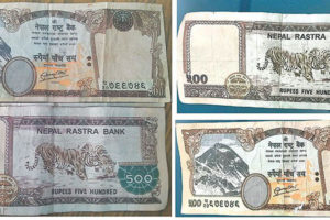 चुनावतिर ध्यान तानिएको मौकामा नक्कली नोट र कागजात बनाउने गिरोह सक्रिय