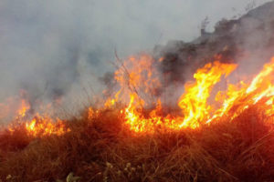 तीन दिनदेखि डढेलो नियन्त्रणमा नआएपछि सेना खटियो