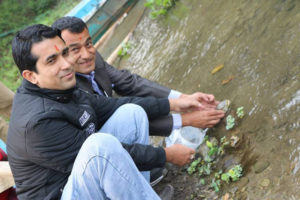 बेतना सिमसारमा कछुवा छोड्नेको संख्या बढ्दै