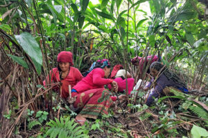 अलैँचीका समस्या समाधान गर्न किसानको माग