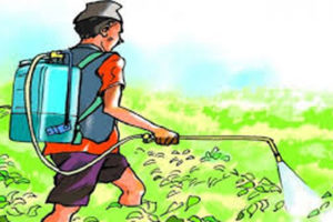 पाँचखालमा विषादी न्यूनीकरण अभियान