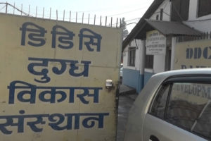 दुग्ध विकास संस्थानमा अढाइ करोड घोटाला