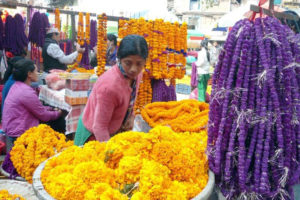 यस वर्षको तिहारमा विदेशी फूल नआउने