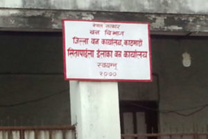 वन कार्यालयमा चौध मुद्दा दर्ता