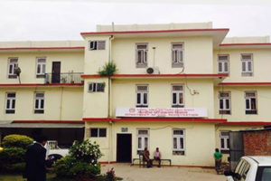 वृद्ध भत्ताका लागि मन्त्रालयको निर्देशन कुर्दै विभाग