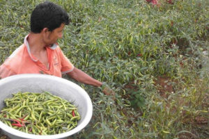 सुन्न र बोल्न नसक्ने शशिराजको आम्दानी चार लाख