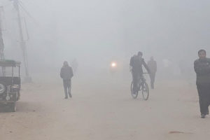 शीतलहरले सप्तरीमा १४ जनाको मृत्यु