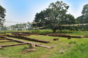 चार सयभन्दा बढी कोरियाली बौद्धमार्गीद्वारा विश्व शान्तिको प्रार्थना