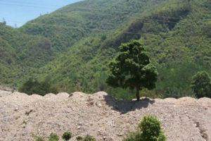 चुरे क्षेत्रमा चोरी-शिकारी रोक्न जनप्रतिनिधिको चासो