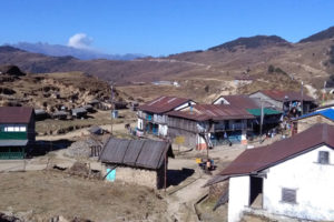 सङ्ग्रहालयलाई पुरातात्विक सामग्री