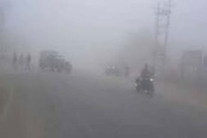 जाडोले बेहोस हुँदा धामीझाँक्रीको भर, एक बालकसहित तीनको मृत्यु