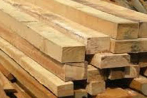 भोजपुरका १३९ भूकम्पपीडितले पाए काठ