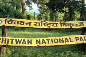 वन्यजन्तुको सुरक्षार्थ निकुञ्जमा गस्ती बढाइयो