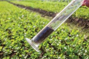 उत्पादन बढाउन माटो परीक्षण शिविर सञ्चालन