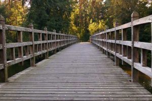 नेपालको सहमति बिना भारतीय पक्षले महाकालीमा बनायो चार पुल