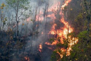 डढेलो नियन्त्रण बाहिर