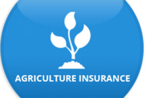 कृषि बीमामा किसान आकर्षित हुँदै