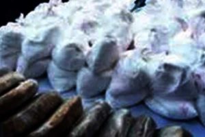 अस्पताल परिसरमै लागुऔषध कारोबार