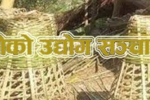 सामुदायिक वनद्वारा डोको उद्योग सञ्चालन