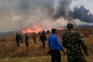 विमान दुर्घटनाः सात जनाको उद्दार