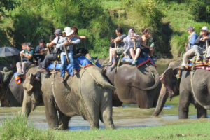 राजनीतिक स्थायित्वले निकुञ्जमा पर्यटक बढे