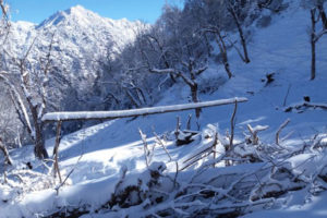 हुम्लामा एक्कासि हिमपात: एसईईका परीक्षार्थीलाई कष्ट, किसान दंग