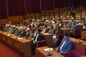 ‘प्रतिनिधिसभाको अन्तरिम कार्यविधि, २०७४’ पारित