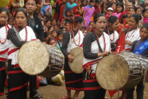 नुवाकोट महोत्सवमा दुई करोडको कारोबार