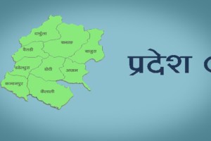 स्थानीय तहका पदाधिकारीले पाउने सेवासुविधाबारे ऐनको मस्यौदा बन्दै