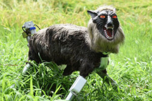 अब रोबोट ब्वाँसोले गर्नेछ बालीनालीको सुरक्षा