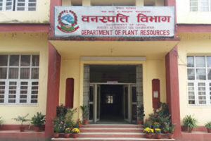 फूल फुल्ने ३१२ प्रजातिका वनस्पति नेपालमा मात्र पाइने