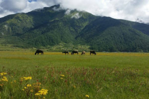 धार्मिक पर्यटकीयस्थल ढोरपाटनले विकासमा फड्को मार्न सकेन