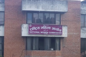 घरेलु हिंसा: मेलमिलापलाई थप प्रभावकारी तुल्याउन प्रशिक्षण