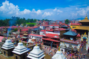 पशुपति क्षेत्रमा पाँच हजार बिरुवा रोपिने