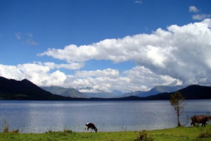 रारा आउने पर्यटकलाई गाउँमै बास