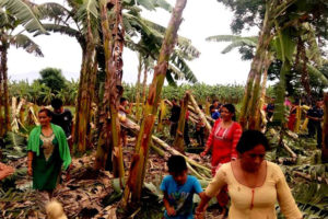 केरा फाँडेको आरोपमा तीन पक्राउ