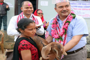 अपांगता भएकालाई बाख्रा वितरण