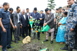 पार्टी एकता अगाडी दुबै दलका नेताले बालुवाटारमा रुख रोपे