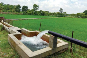 पाँच वर्षभित्र खेतीयोग्य जमीनमा बाह्रै महिना सिँचाइ सुविधा