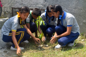 अठ्चालीसौँ विश्व वातावरण दिवसका अवसरमा ९०० विरुवा रोपियो