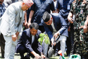 प्रधानमन्त्रीले सिंहदरबारमै रोपे लिची र एभोकार्डोको विरुवा