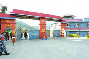 सशस्त्रको गाडीबाट काठ तस्करी प्रकरणः डिएसपी भण्डारीसहित ३ जवान निलम्बित