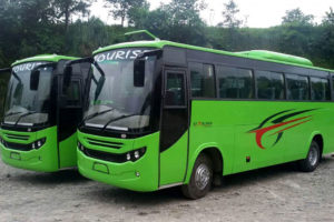 पर्यटक बसका चालक नै मापसे गरेर सवारी चलाउँछन्