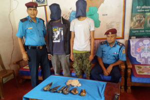 दार्चुलामा भालुको पित्तसहित दुई पक्राउ